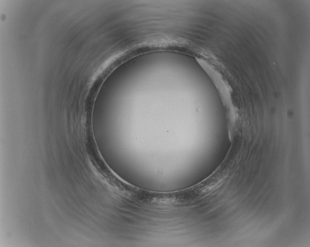 X0000076090440200610152322