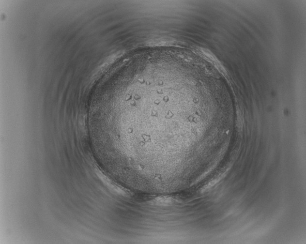 X0000076090441200610152322