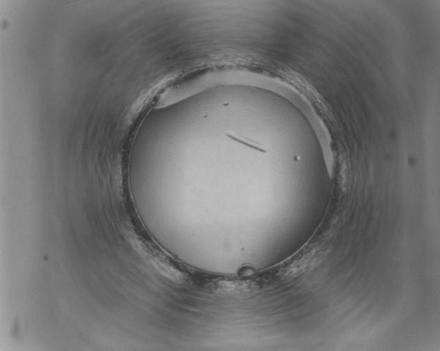 X0000076090442200610152322