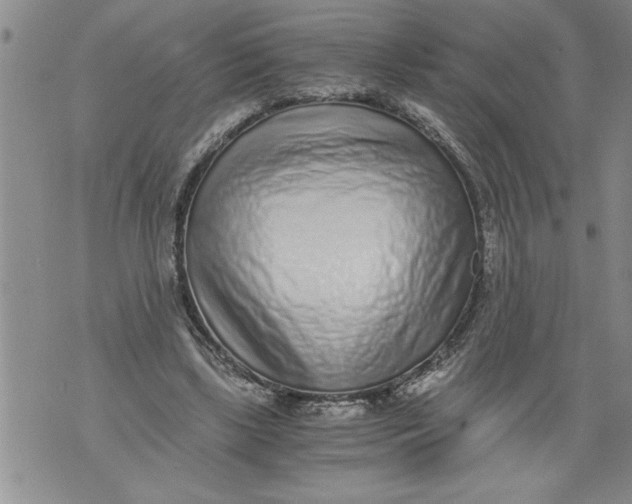 X0000076090443200610152322