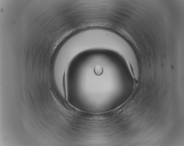 X0000076090444200610152322