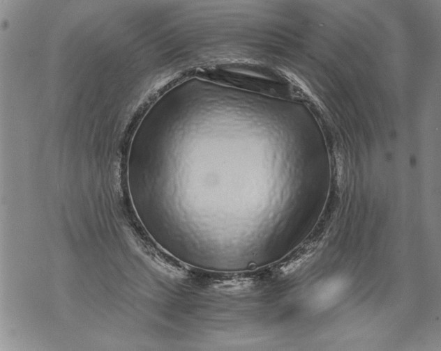 X0000076090447200610152322