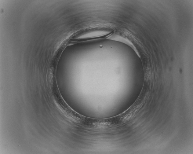 X0000076090448200610152322