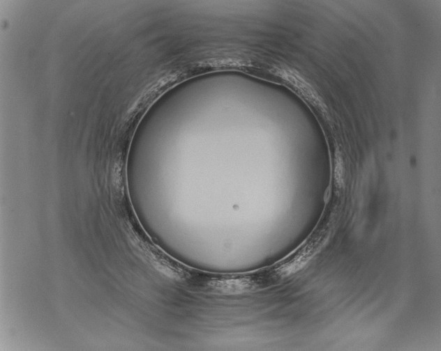 X0000076090449200610152322