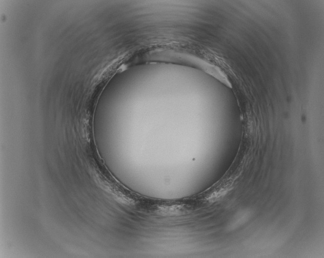 X0000076090450200610152322