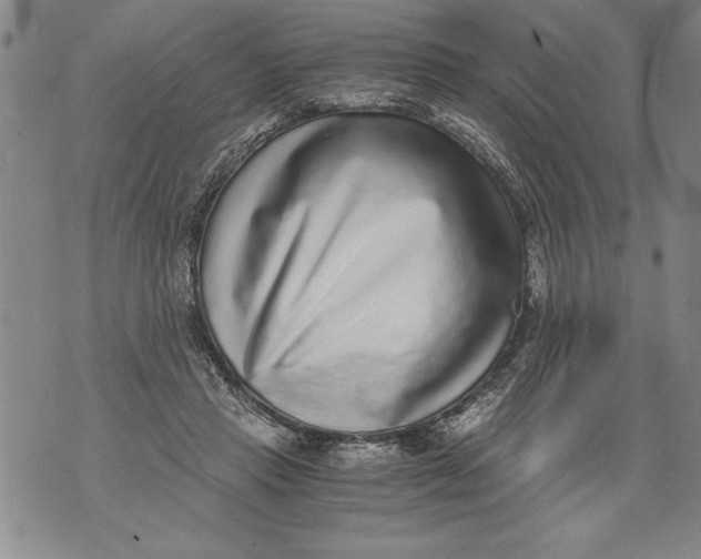 X0000076090453200610152322