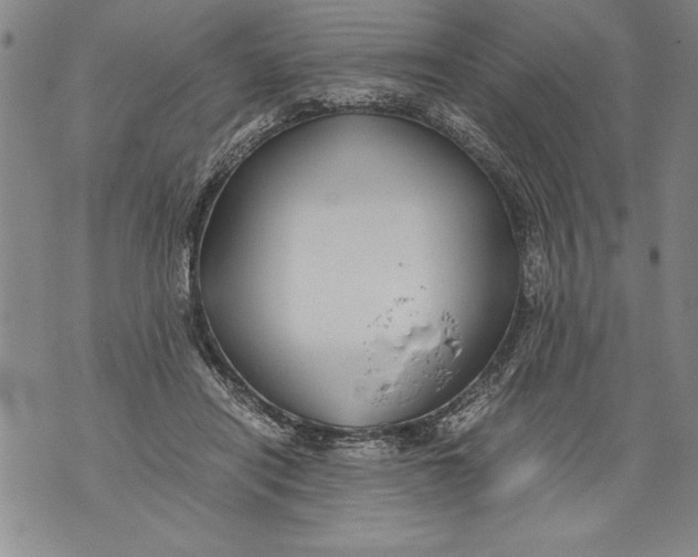 X0000076090454200610152322