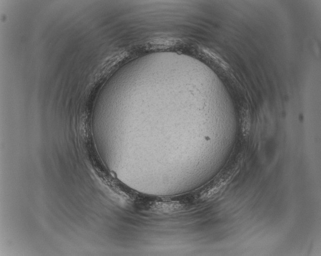 X0000076090455200610152322