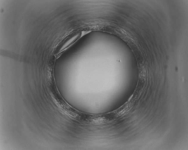 X0000076090456200610152322