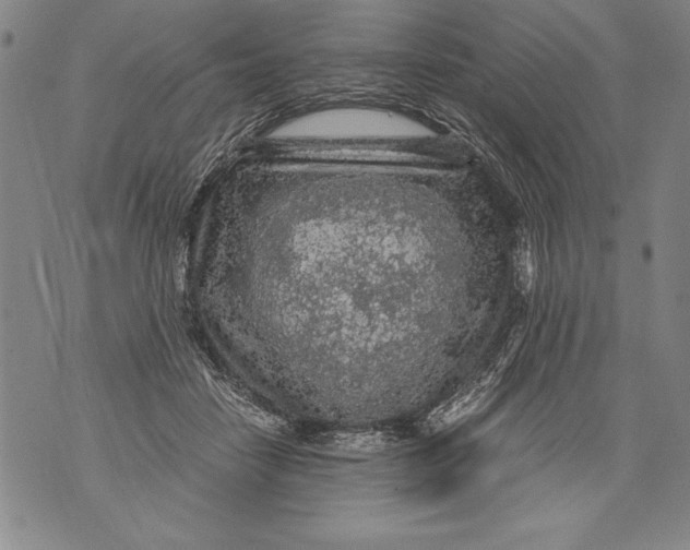 X0000076090458200610152323