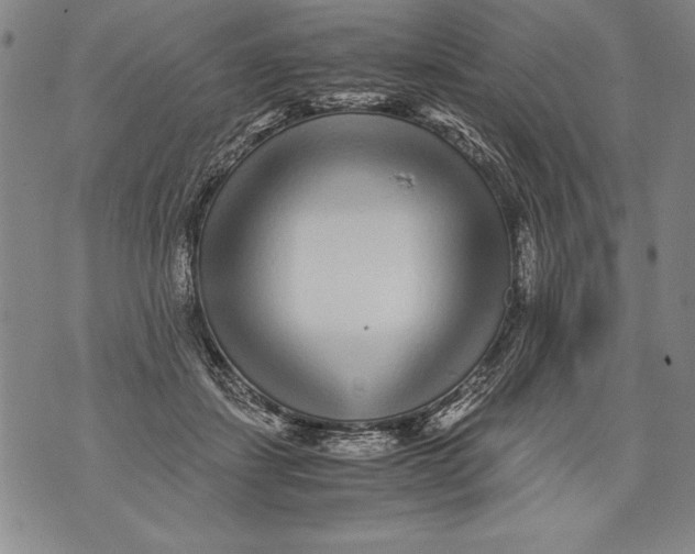 X0000076090459200610152323