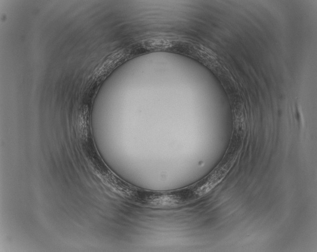 X0000076090460200610152323