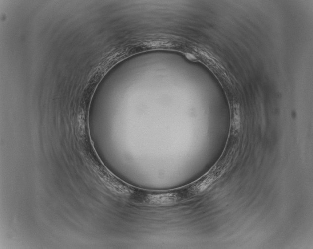 X0000076090461200610152323