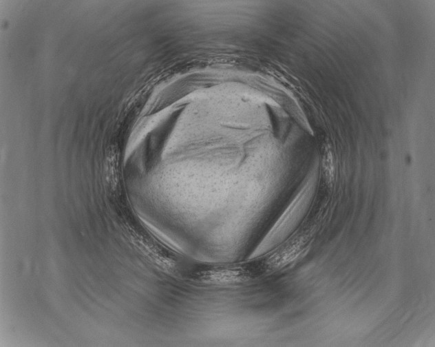 X0000076090462200610152323