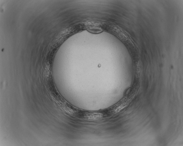 X0000076090463200610152323