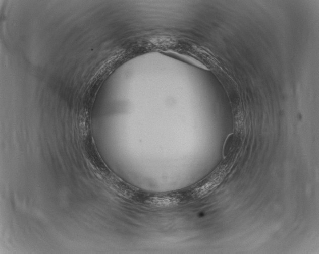 X0000076090464200610152323