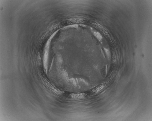 X0000076090465200610152323