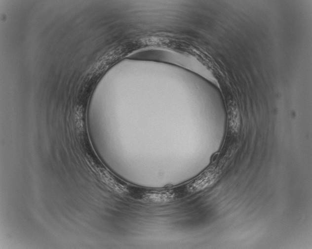 X0000076090466200610152323