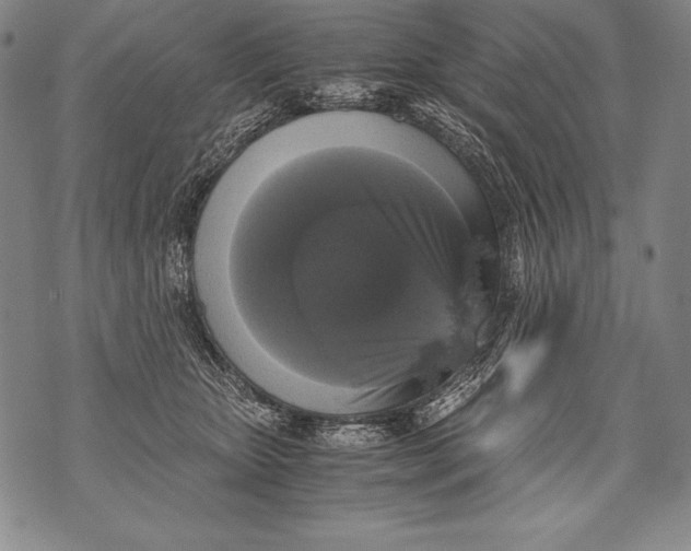 X0000076090467200610152323