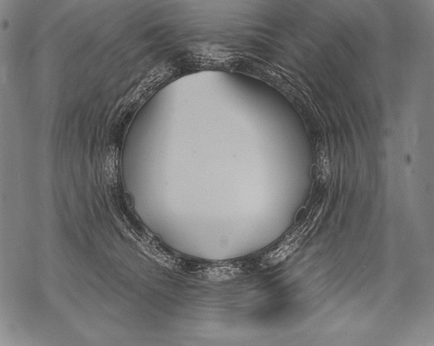 X0000076090468200610152323