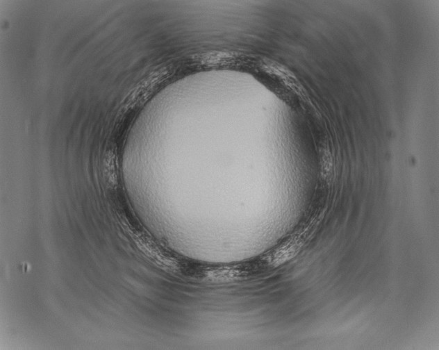 X0000076090470200610152323