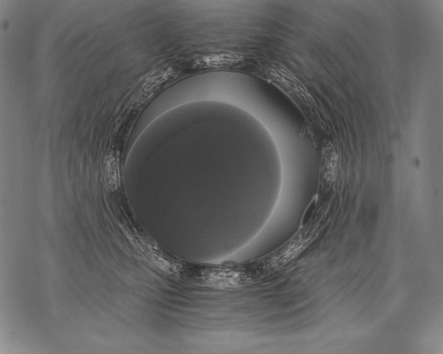 X0000076090471200610152323