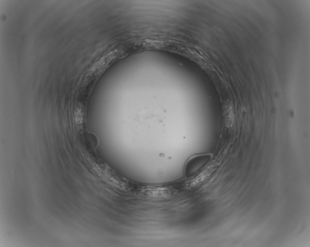 X0000076090472200610152323