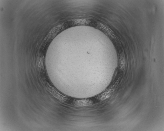 X0000076090473200610152323