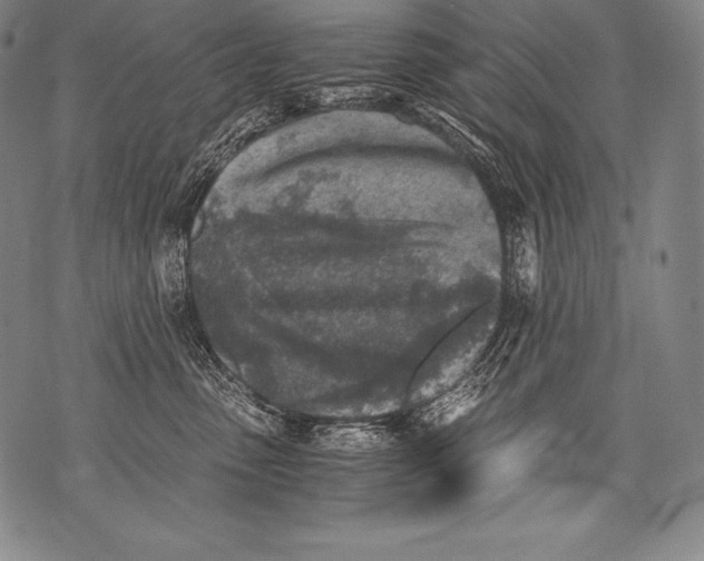 X0000076090475200610152323