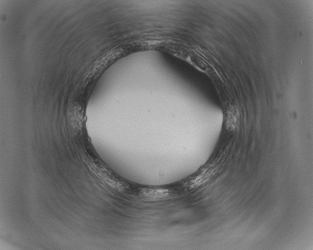 X0000076090476200610152323