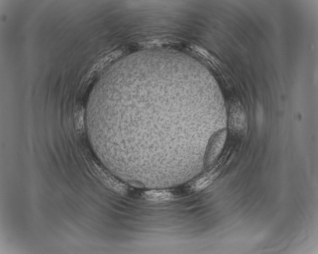 X0000076090477200610152323