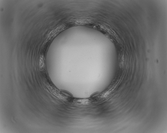 X0000076090478200610152323