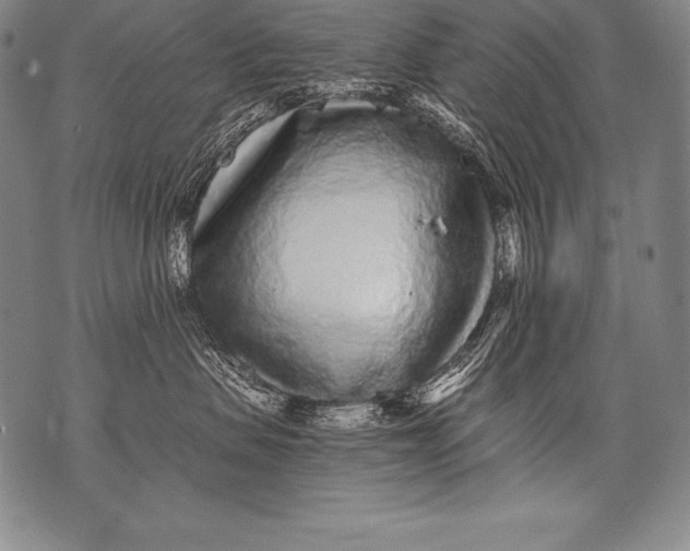 X0000076090479200610152323