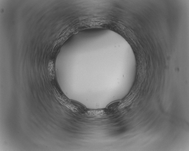 X0000076090480200610152323