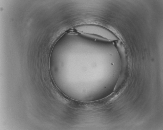 X0000076090481200610152322