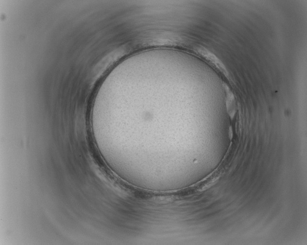 X0000076090482200610152322