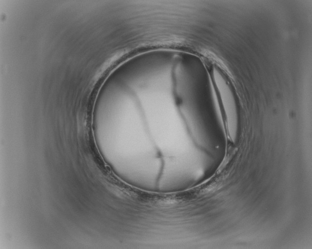 X0000076090483200610152322