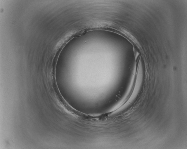 X0000076090485200610152322