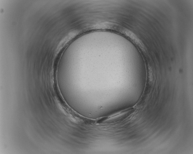 X0000076090486200610152322