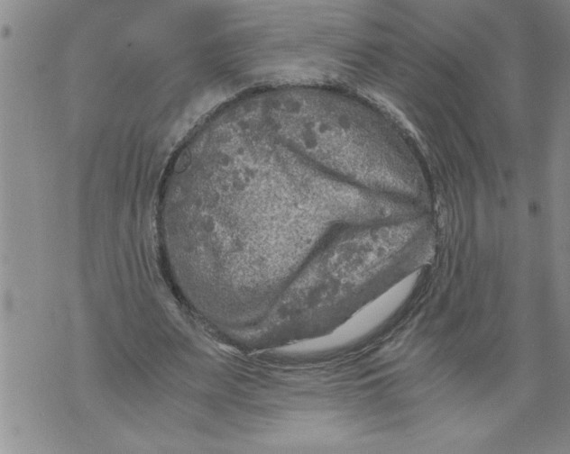 X0000076090487200610152322