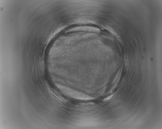 X0000076090488200610152322