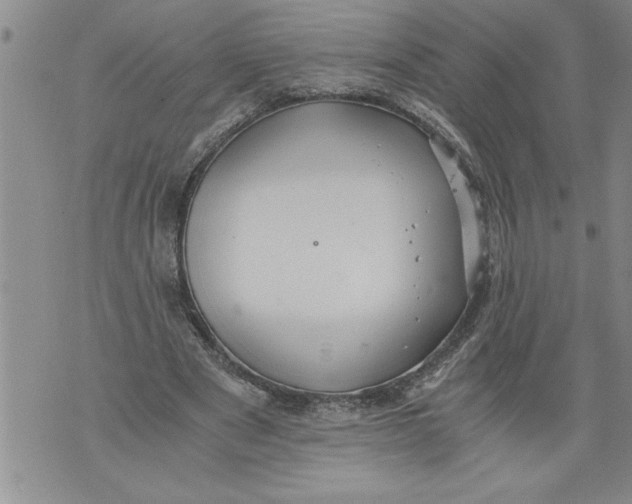 X0000076090489200610152322