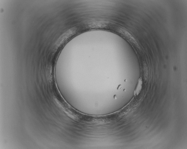 X0000076090490200610152322