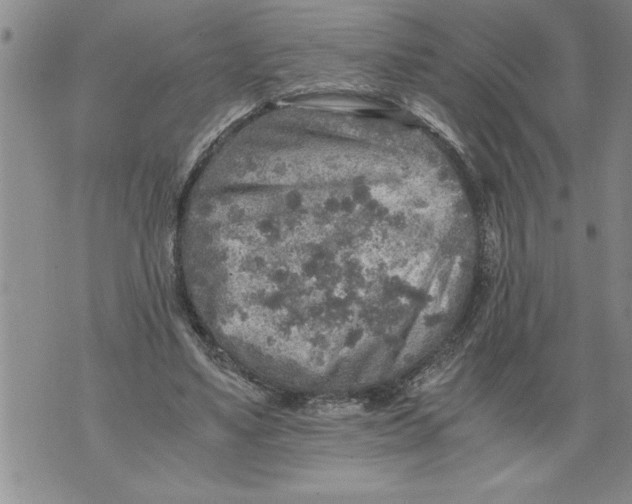 X0000076090491200610152322