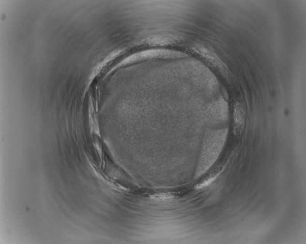 X0000076090492200610152322