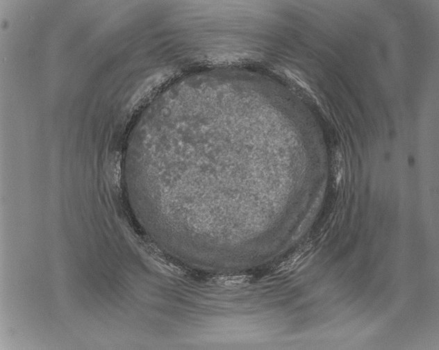 X0000076090495200610152322