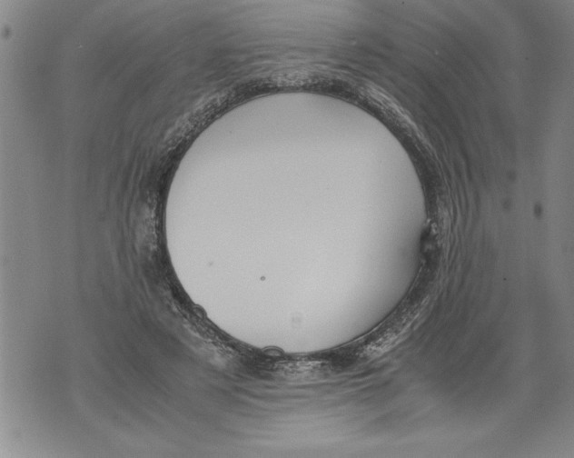 X0000076090497200610152322