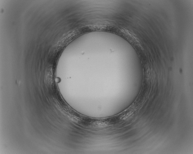 X0000076090498200610152322