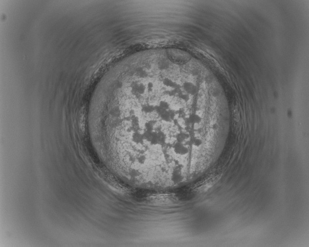 X0000076090499200610152322