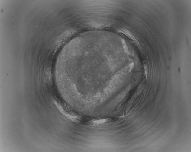 X0000076090500200610152322